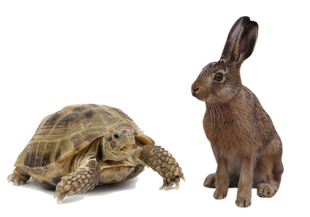 Early Vs Late Testing NVP Software Solutions