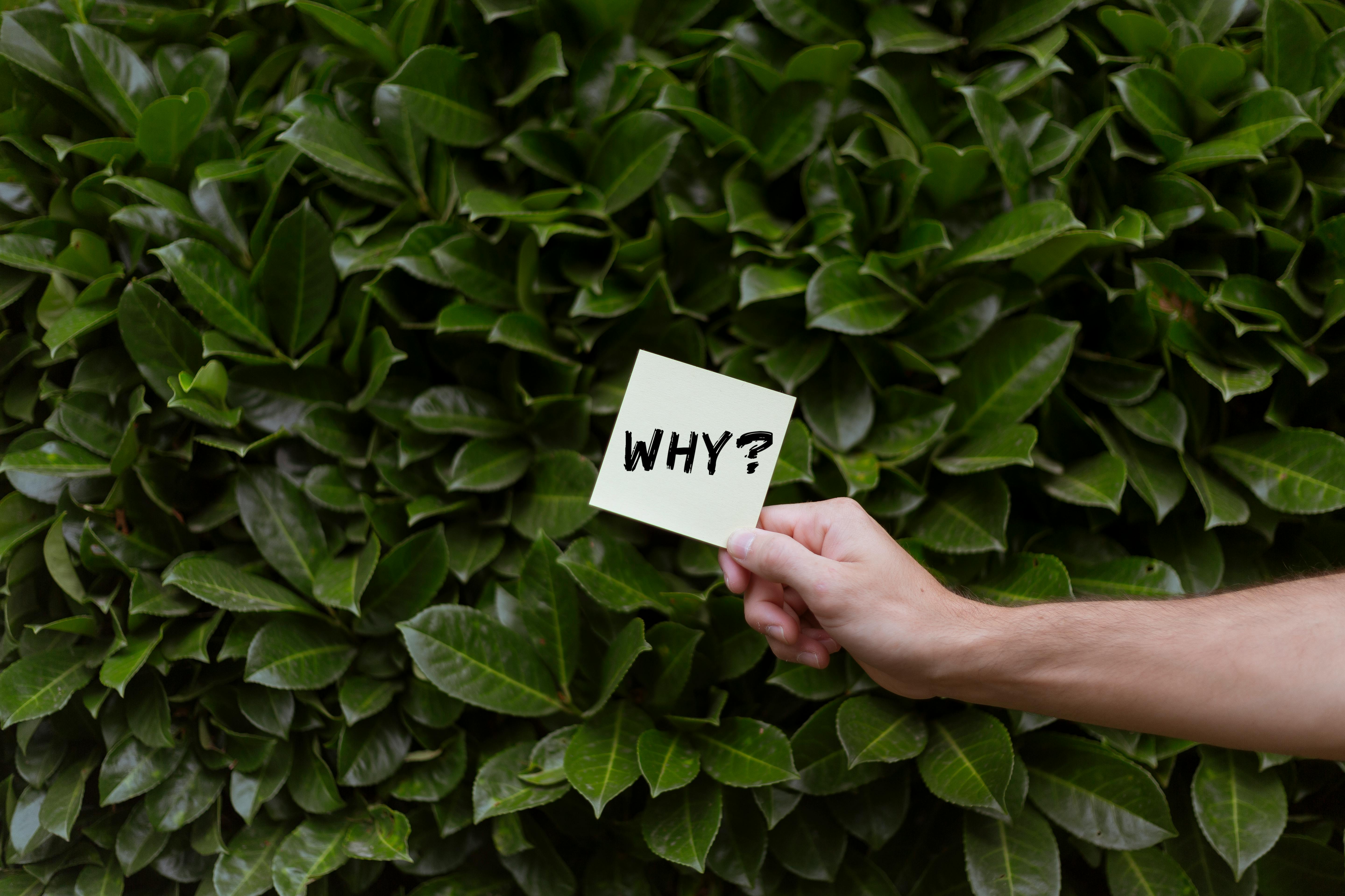 QA – Why Bother?